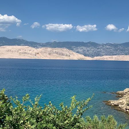 Apartman Matej With Pool Povljana Εξωτερικό φωτογραφία